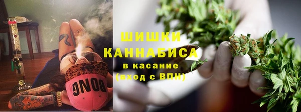 винт Бронницы