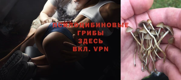 мдпв Бородино