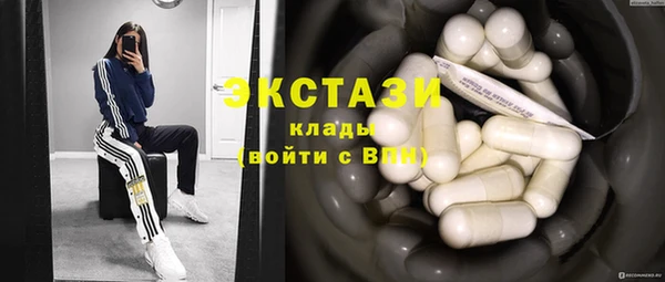 мдпв Бородино