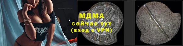 мдпв Бородино