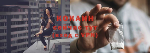 мдпв Бородино