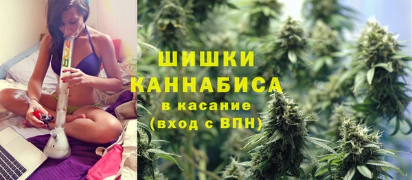 мдпв Бородино