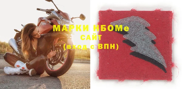 мдпв Бородино