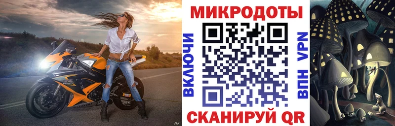 Псилоцибиновые грибы Psilocybine cubensis  Купить закладки  Шумиха 